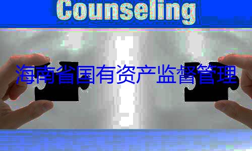 有福接受审委副书记王查调查海南省国有理委员会党资产监督管